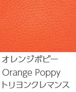 オレンジポピー