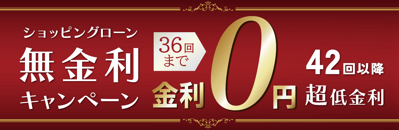 ショッピングローン36回無金利