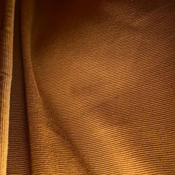 セリーヌ リュック トリオンフ フォルコバックパック ミニ PVC 197662 CELINE