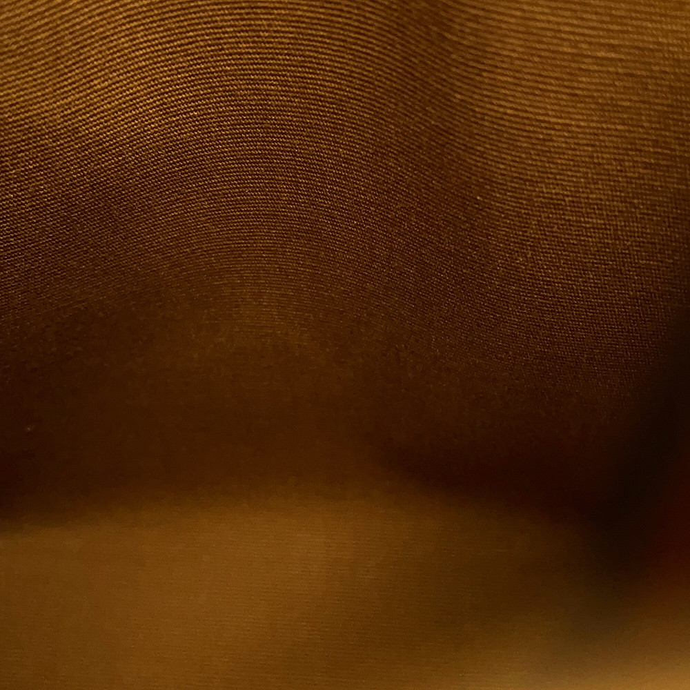 セリーヌ ハンドバッグ トリオンフ ミニ バーティカル カバ 194372 CELINE 2way