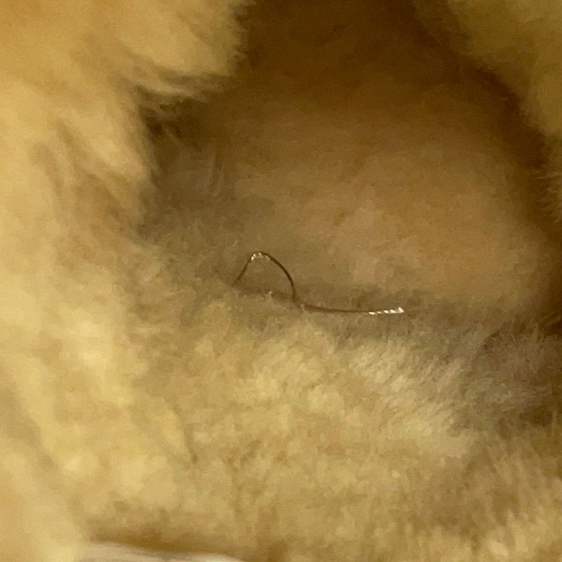 アグ ロングブーツ クラシックトール レディースサイズ7 5815 UGG 靴