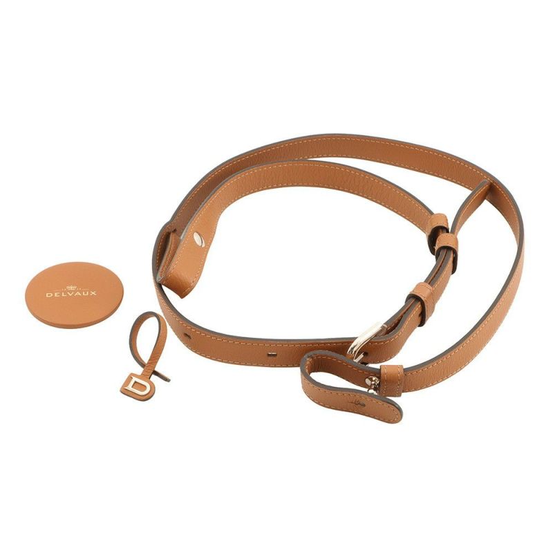 デルヴォー ハンドバッグ ブリヨンMM レザー AA0405ACE024MDP Delvaux 2way