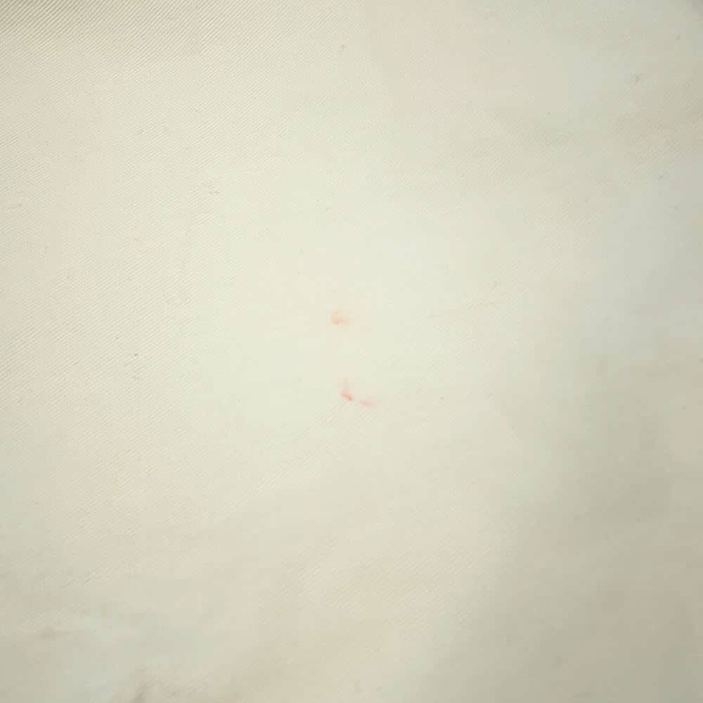 クリスチャン・ディオール トートバッグ オブリーク エンブロイダリー ミディアム M1296ZRIW Christian Dior トロッター