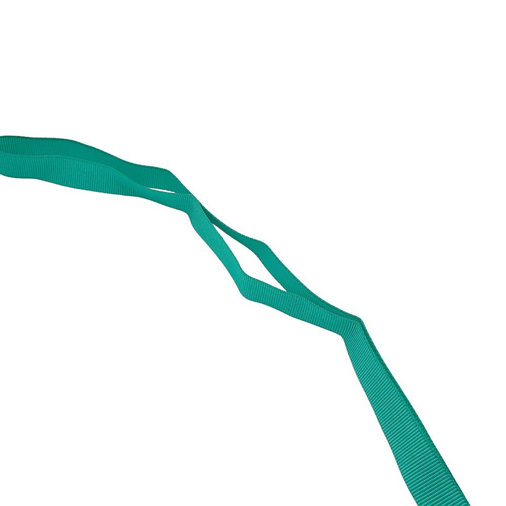 ロエベ ネックポーチ アイロエベ ネイチャーケース ナイロン LOEWE