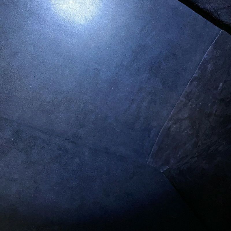 ディオール トートバッグ ブックトート オブリーク ラージ カーフレザー M1286ZWSO トロッター 黒