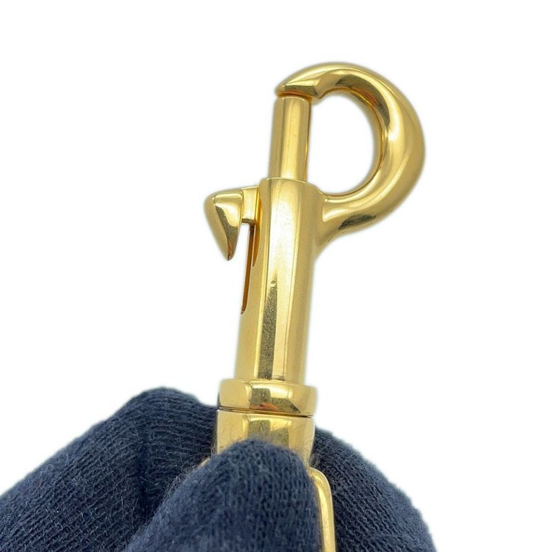 セリーヌ ハンドバッグ  ニノ  ミディアム トリオンフ スムースサテンドカーフスキン117523GG2 CELINE 2wayショルダー 白