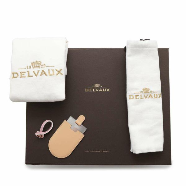 デルヴォー ハンドバッグ タンペート スモール レザー Delvaux 2wayショルダーバッグ デルボー