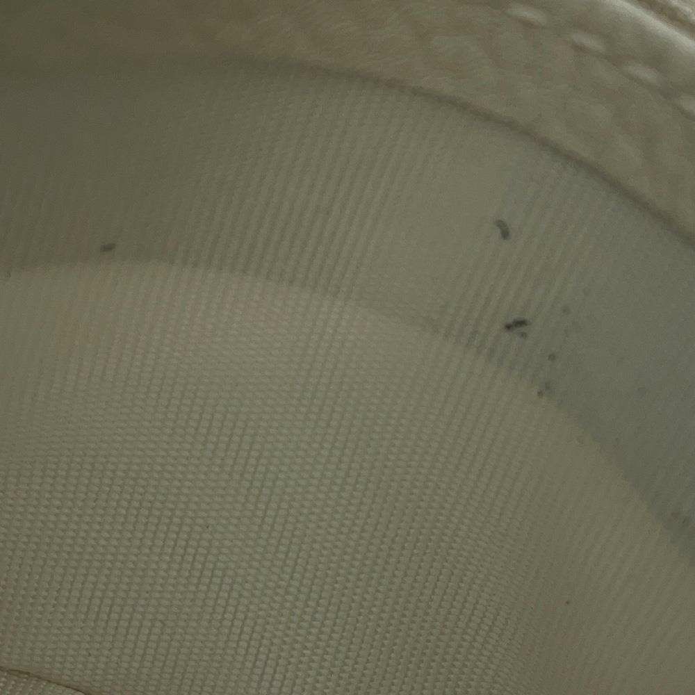 クリスチャン・ディオール コインケース カロ レザー S5177UNID Christian Dior 財布 白