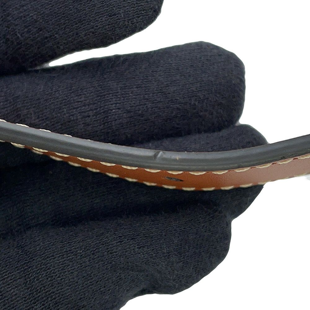 セリーヌ ショルダーバッグ トリオンフ エロイズ ミディアム PVC 114712 CELINE