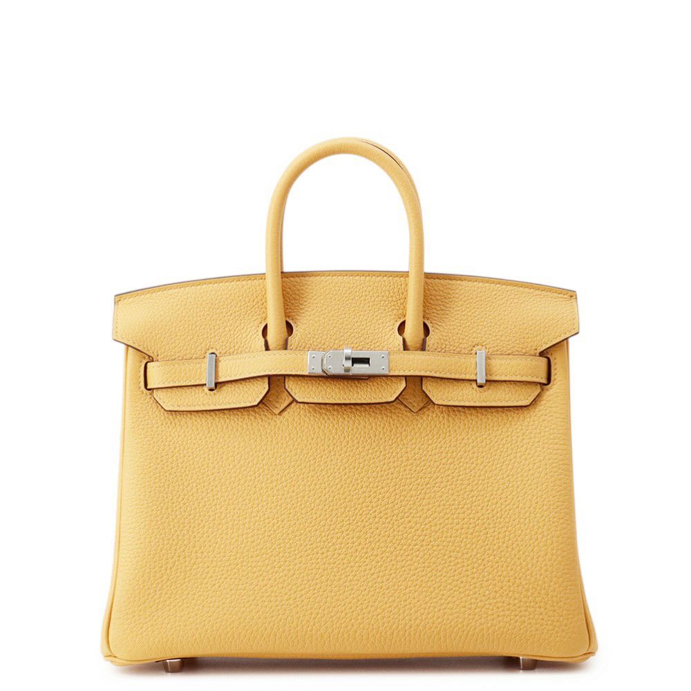 エルメス バーキン25 パイユ/シルバー金具 トゴ G刻印 HERMES Birkin ハンドバッグ