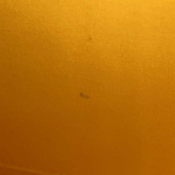 ゴヤール ショルダーバッグ ベルヴェデーレMM PVC レザー BELVE3MMLTY51CG51P GOYARD