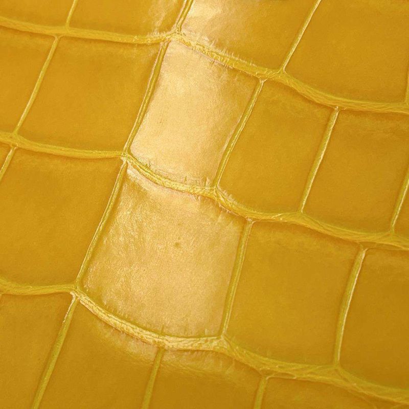 ルイヴィトン ハンドバッグ クロコダイル カプシーヌMINI N93372 LOUIS VUITTON 2way