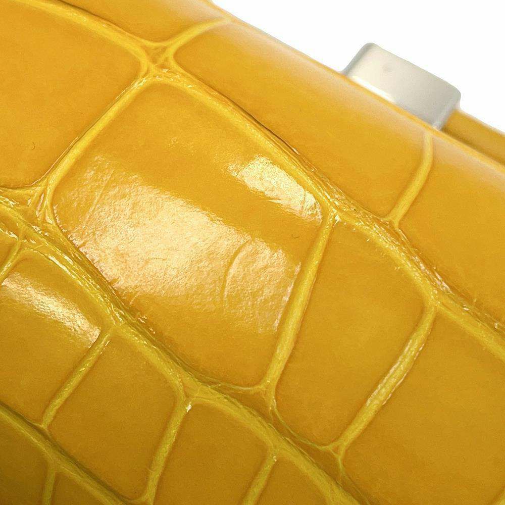 ルイヴィトン ハンドバッグ クロコダイル カプシーヌMINI N93372 LOUIS VUITTON 2way