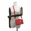 ルイヴィトン ショルダーバッグ ラムスキン ダミエ・パターン ポシェット・トロカ M59049 LOUIS VUITTON 2way ピンク