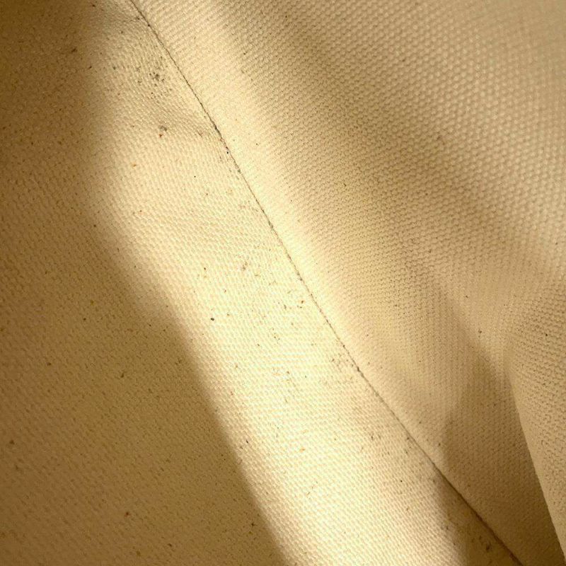 セリーヌ トートバッグ ホリゾンタル カバ キャンバス 192162 CELINE