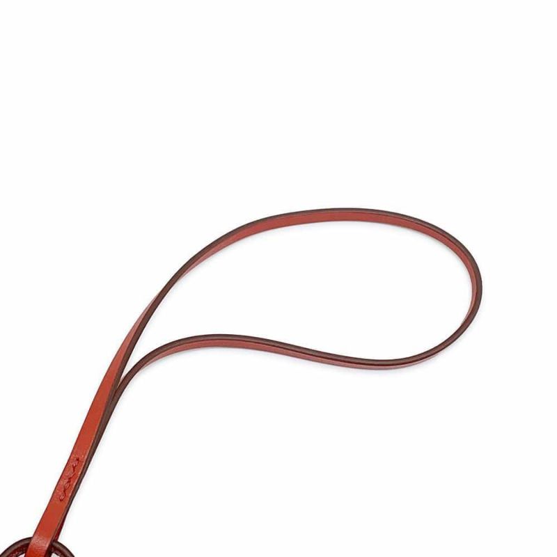 エルメス チャーム ビジュードサック ケリードール サンギンヌ/ナタ/ローズサクラ/キャラメル/シルバー金具 タデラクト/シェブルミゾル Z刻印