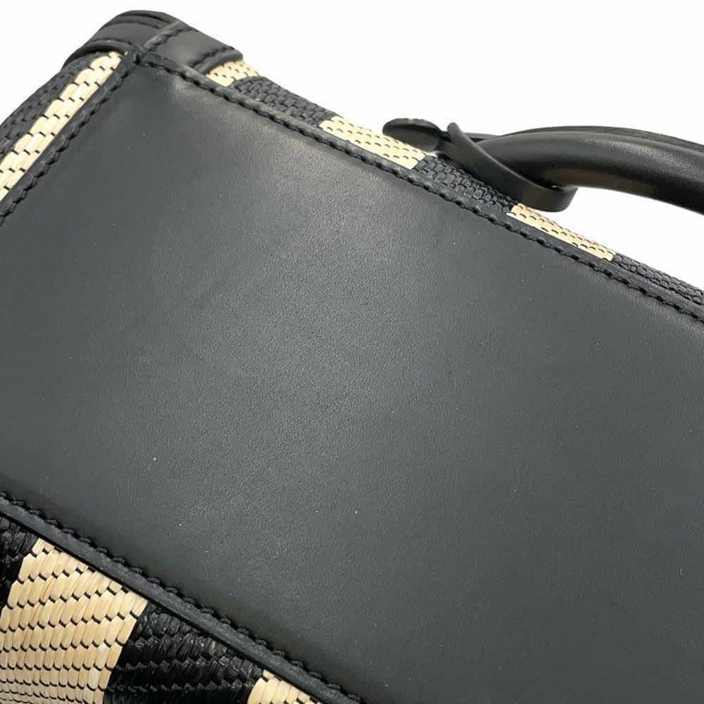 デルヴォー ハンドバッグ クールボックスMM カーフレザー ラフィア AA0457BBK0AOCPA DELVAUX 2way 黒