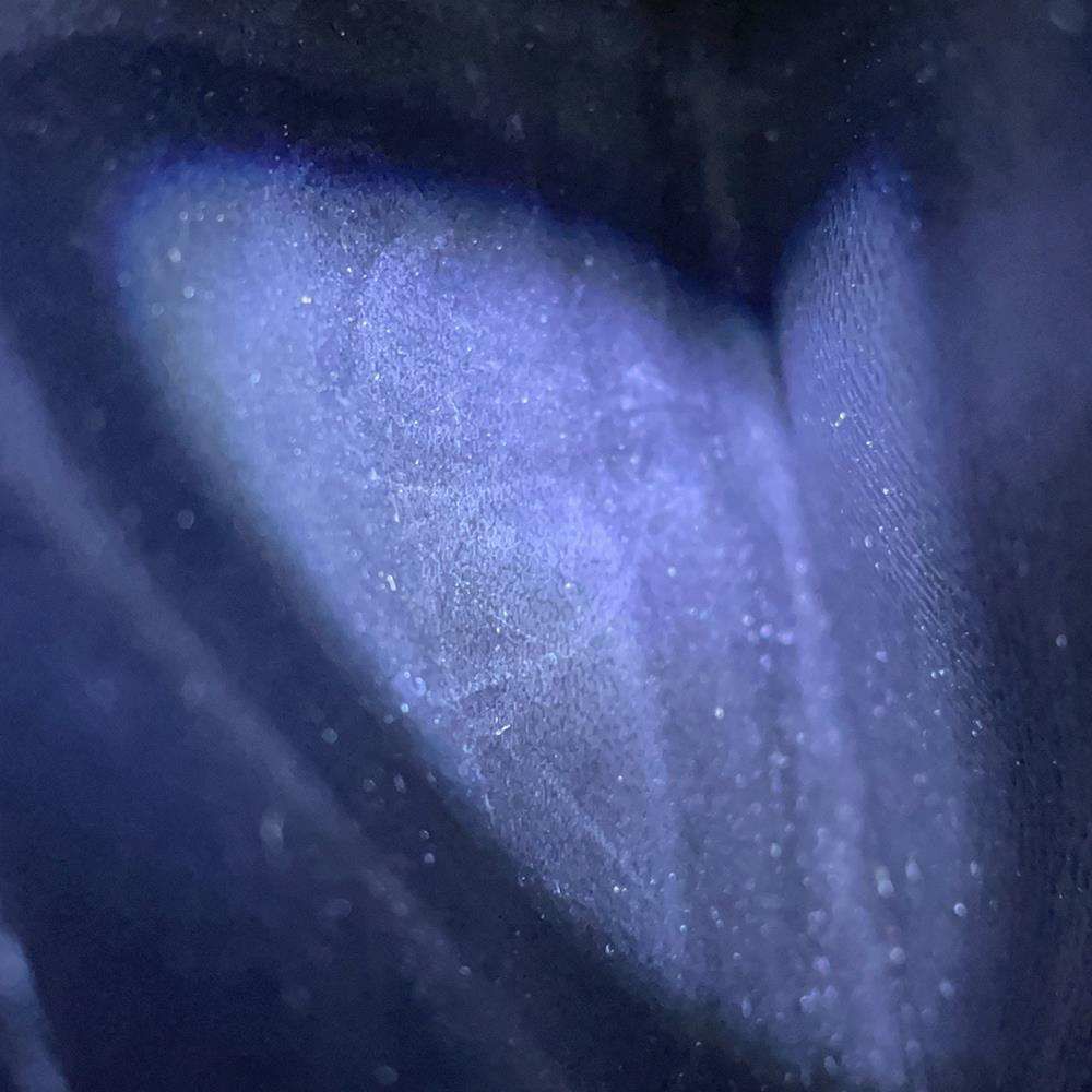 ルイヴィトン チェーンウォレット エピ スパンコール ポルトフォイユ・ツイスト チェーン フクロウ M62334 黒 ブラック 財布