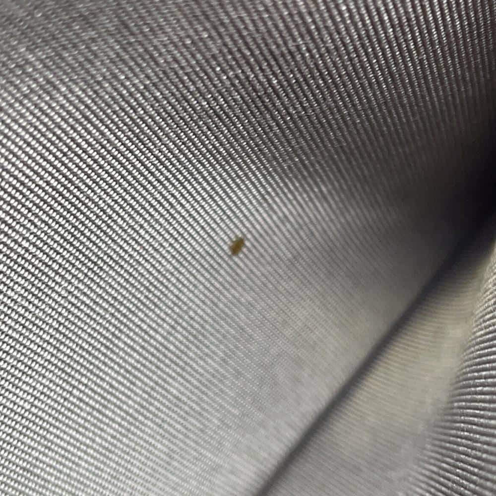 シャネル チェーンウォレット ココマーク キャビアスキン CHANEL 財布