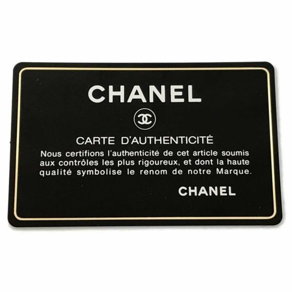 シャネル チェーンショルダーバッグ 2.55 ダブルフラップ リザード CHANEL 2way