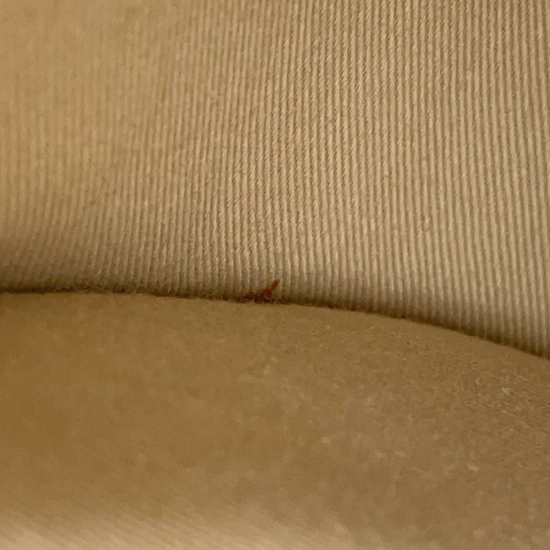 クロエ ハンドバッグ テス TESS スモール クロコ型押しレザー CHC19SS153A876J5 Chloe 2way