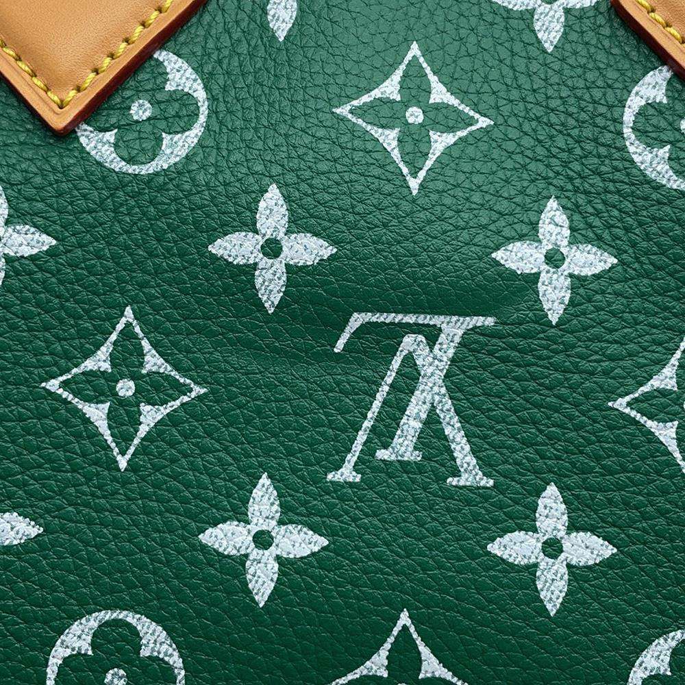 ルイヴィトン ハンドバッグ モノグラム スピーディ P9 バンドリエール25 M24423 2way