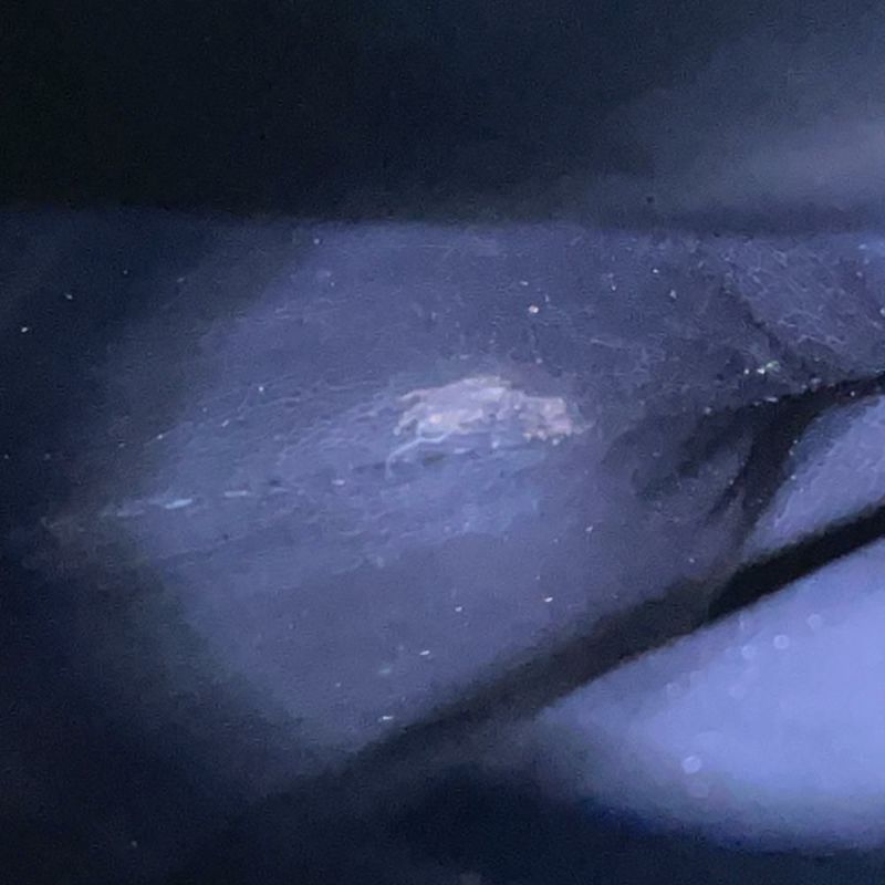 シャネル チェーントートバッグ デカココ キャビアスキン A03682 CHANEL 黒