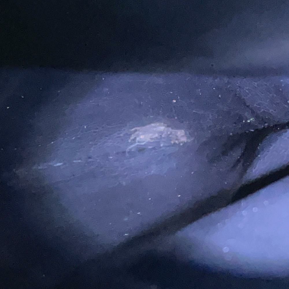 シャネル チェーントートバッグ デカココ キャビアスキン A03682 CHANEL 黒