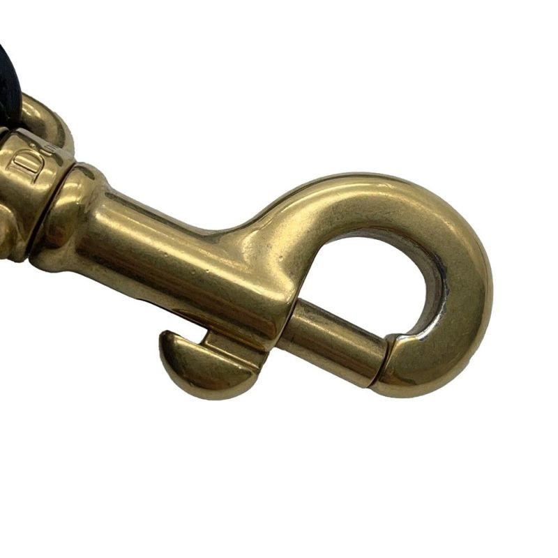 クリスチャン・ディオール ショルダーストラップ メダリオン 刺繍 AY5626W3 Christian Dior ストラップ