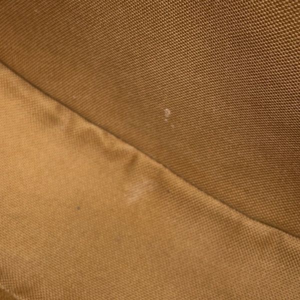 セリーヌ ショルダーバッグ トリオンフ アヴァ Ava PVC/レザー 193952BZJ.04LU CELINE ワンショルダー