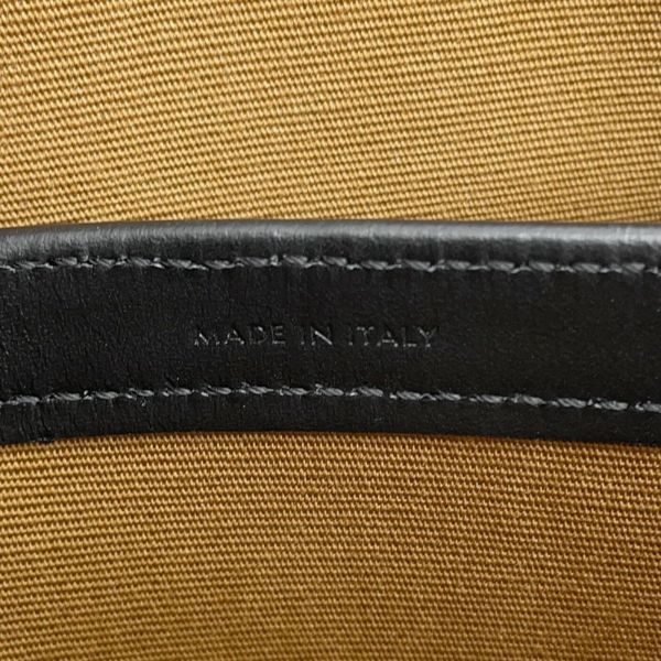 セリーヌ ショルダーバッグ トリオンフ ホリゾンタル ミディアム メッセンジャーバッグ PVC/レザー 194502CIM.38NO CELINE 黒