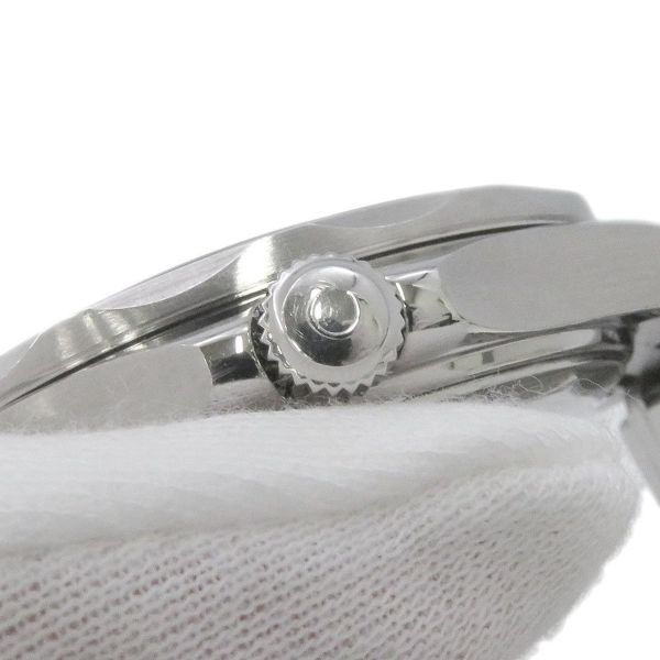 オメガ シーマスター ダイバー300M 210.30.42.20.10.001 WATCH 腕時計 グリーン
文字盤