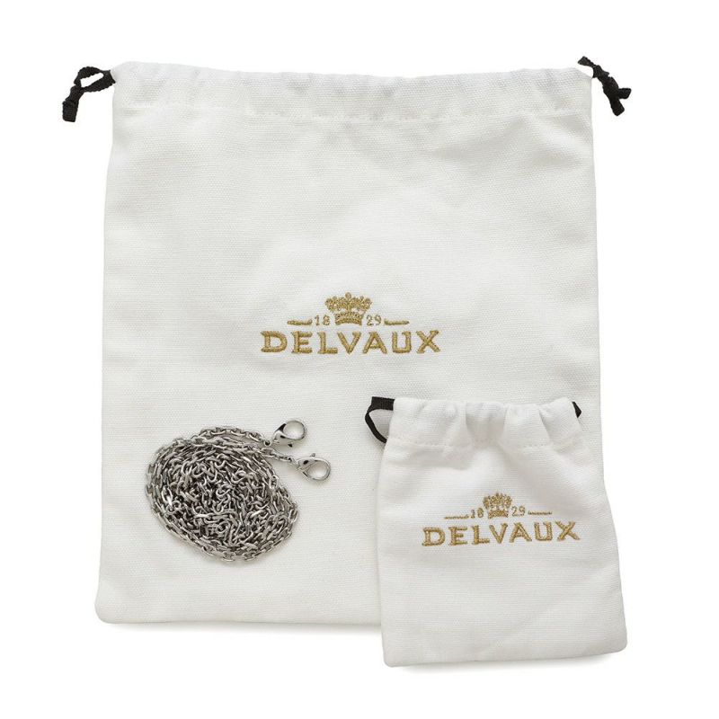 デルヴォー ロングチェーンウォレット ブリヨン AB0476ADW0AKSPA Delvaux デルボー