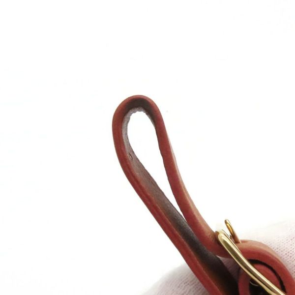 ルイ ヴィトン ショルダーバッグ キャットグラム プティット ボワット シャポー M52972 LOUIS VUITTON 猫 犬