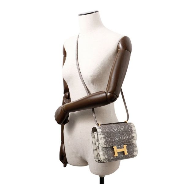 エルメス ミニ コンスタンス3 ミロワール オンブレ/ゴールド金具 リザードナチュラ B刻印