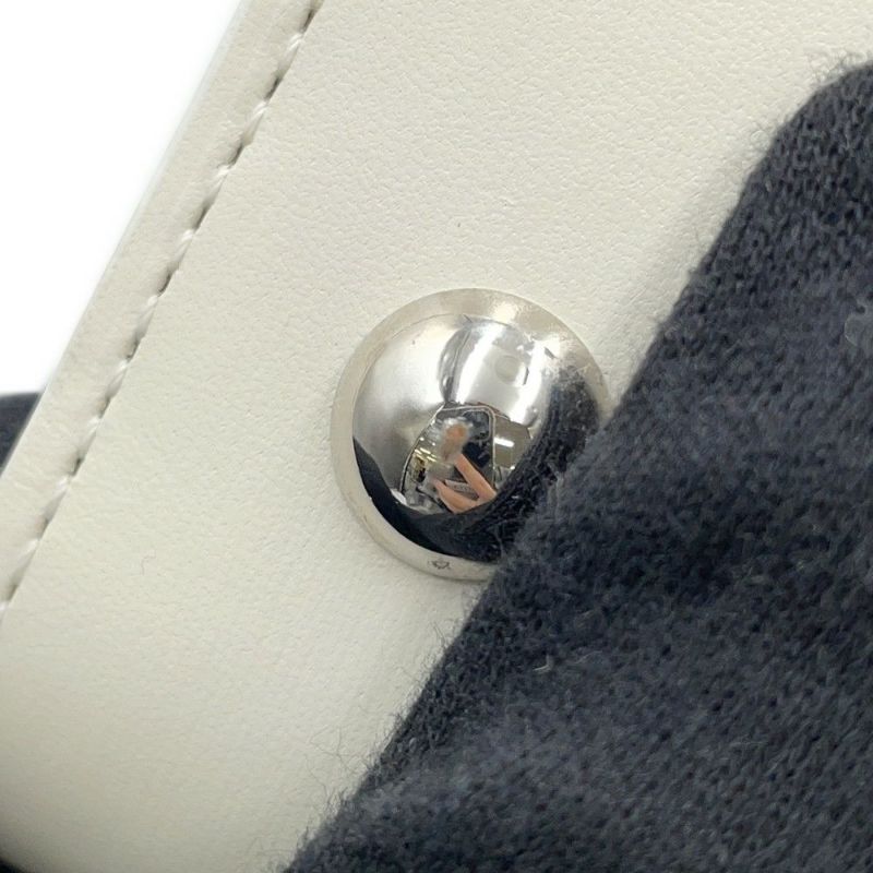 デルヴォー ハンドバッグ ブリヨン ルーモア MM ボックスカーフ AA0480BFF010DCM Delvaux 2way 白