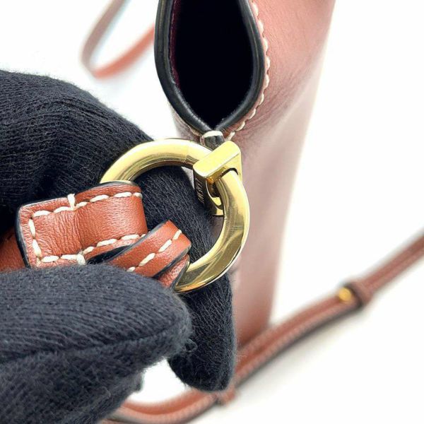 ロエベ ショルダーバッグ ゲートポケット レザー C650Z42X34 LOEWE ポシェット