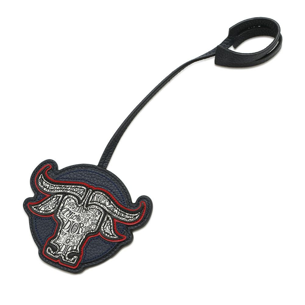 クリスチャン・ディオール リュック ステューシーコラボ レザー Christian Dior バックパック メンズ