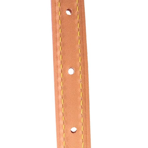 ルイヴィトン ハンドバッグ モノグラム/ヴィヴィエンヌ ナノ・ノエ M12221 2wayショルダーバッグ