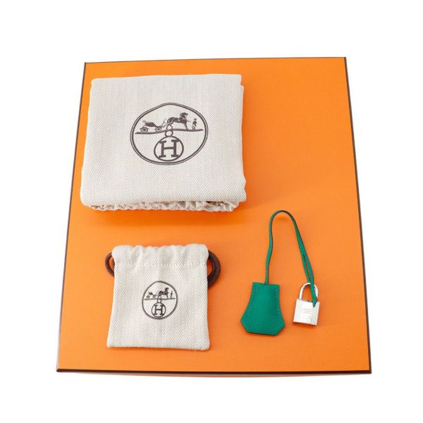 エルメス バーキン25 ヴェールヴェルティゴ/シルバー金具 トゴ K刻印 HERMES Birkin ハンドバッグ