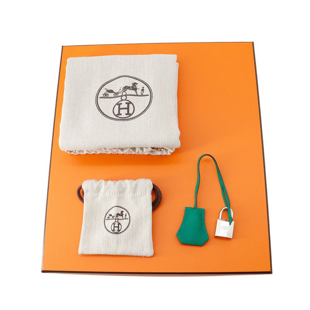 エルメス バーキン25 ヴェールヴェルティゴ/シルバー金具 トゴ K刻印 HERMES Birkin ハンドバッグ