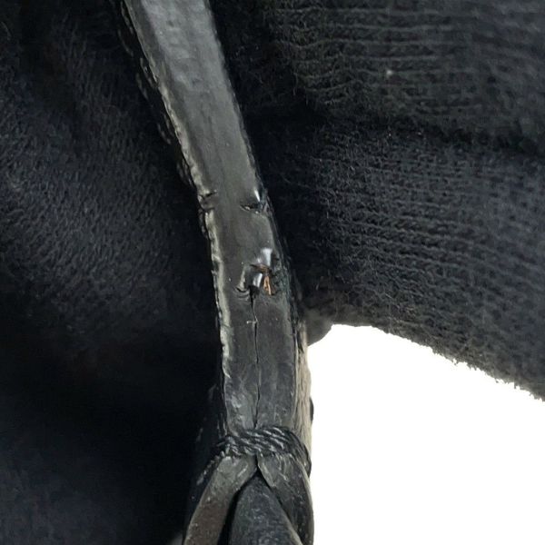 ゴヤール ペットキャリーバッグ シアン・グリ PVC CHIENGPMLTY01CL01P GOYARD 小型犬用 黒