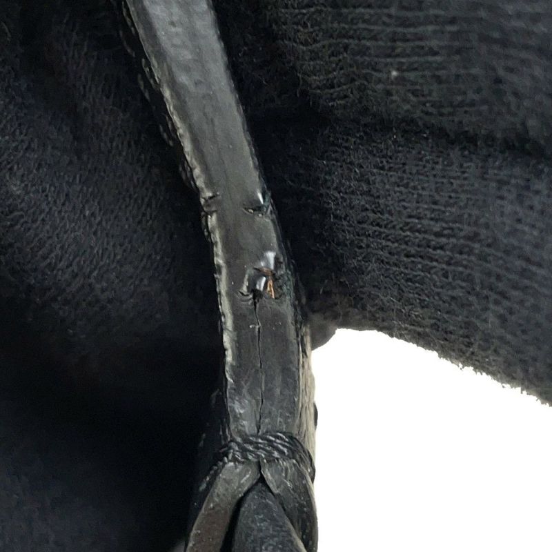 ゴヤール ペットキャリーバッグ シアン・グリ PVC CHIENGPMLTY01CL01P GOYARD 小型犬用 黒