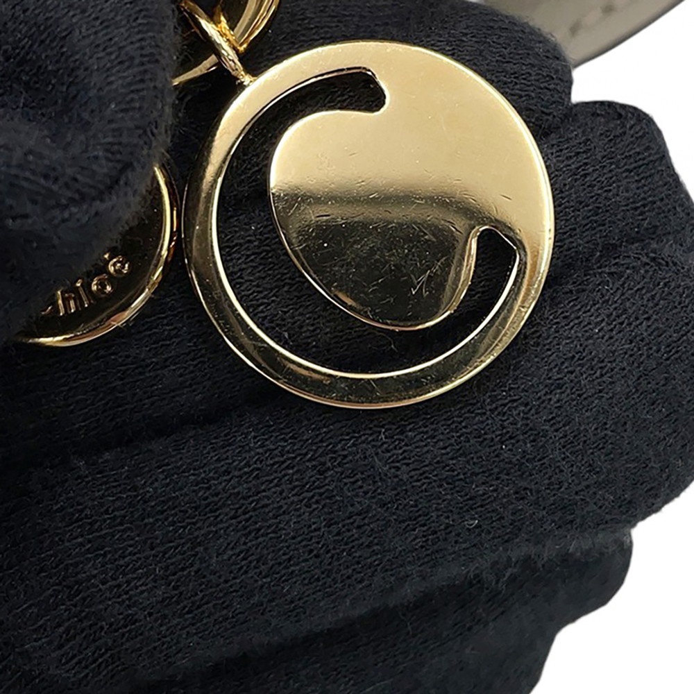 クロエ ハンドバッグ ナイル ミノディエール レザー CHC17US302H5H Chloe 2way