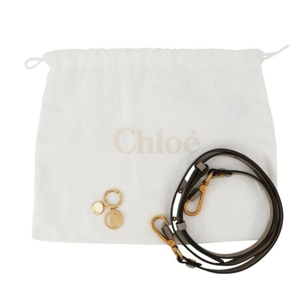 クロエ ハンドバッグ ナイル ミノディエール レザー CHC17US302H5H Chloe 2way
