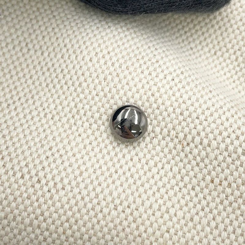 ヴァレンティノ・ガラヴァーニ トートバッグ アトリエ 02 ボウ エディション キャンバス UW0B0H95SVJ VALENTINO 2way