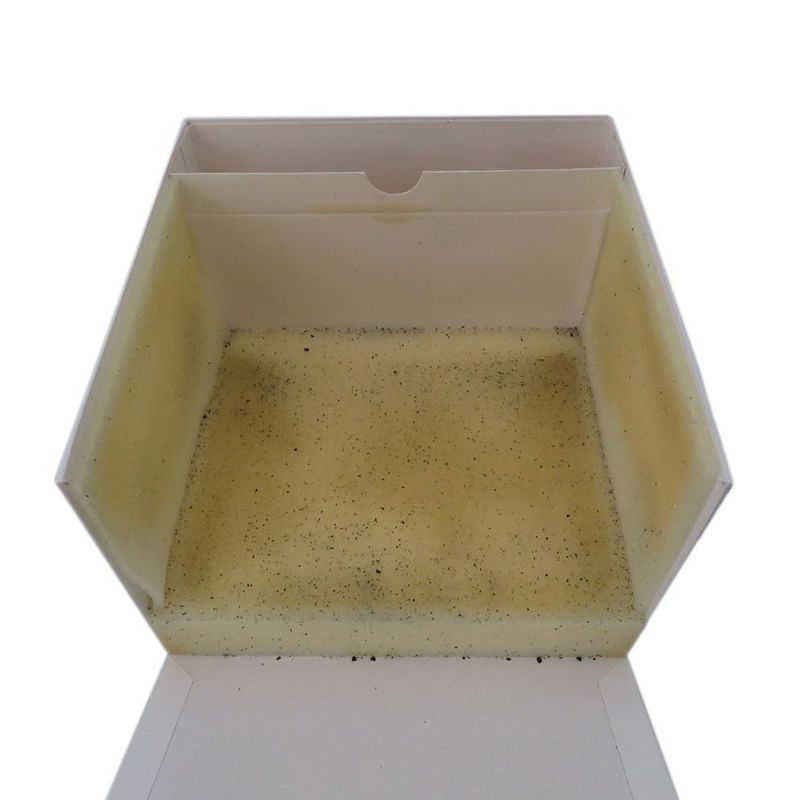 オメガ スピードマスター レーシング ミハエル・シューマッハ レジェンド 3559.32 世界6000本限定 白文字盤