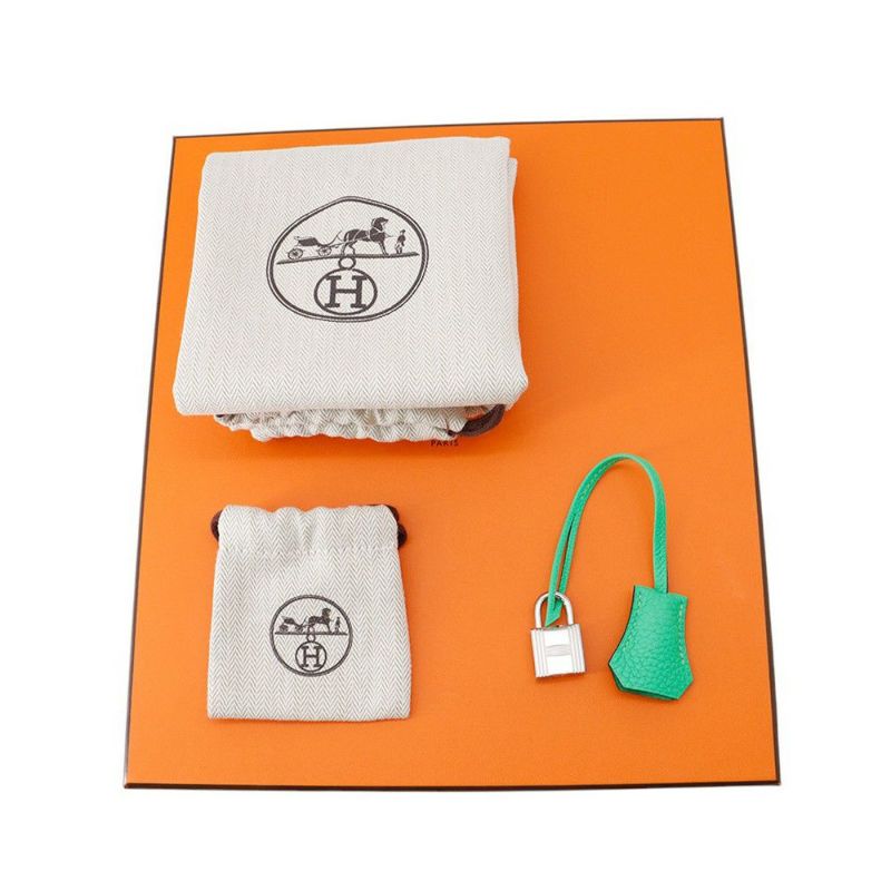 エルメス バーキン25 ヴェールコミック/シルバー金具 トゴ W刻印HERMES Birkin ハンドバッグ