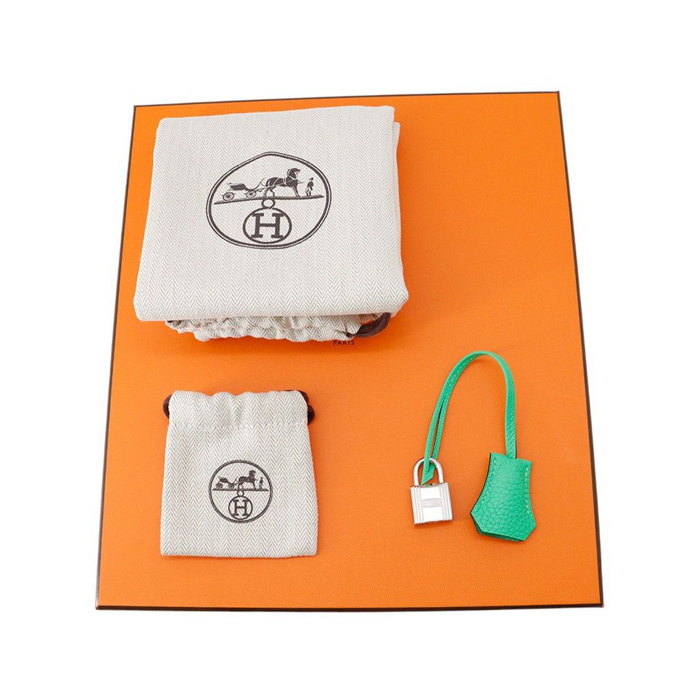 エルメス バーキン25 ヴェールコミック/シルバー金具 トゴ W刻印HERMES Birkin ハンドバッグ