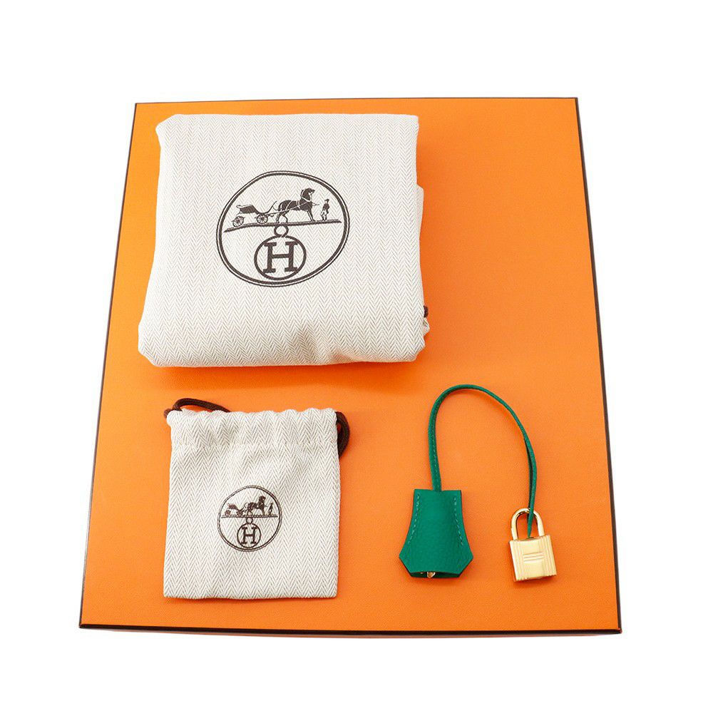 エルメス バーキン25 ヴェールヴェルティゴ/ゴールド金具 トゴ K刻印 HERMES Birkin ハンドバッグ